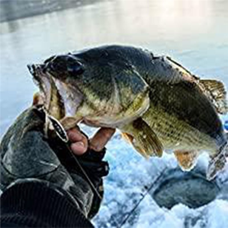 Fish Finder Transducer - ABLB-เครื่องตรวจจับปลาสำหรับเรือคายัค ทรานสดิวเซอร์แบบพกพา เครื่องวัดความลึกของปลา โซนาร์แบบมือถือ หน้าจอ LCD